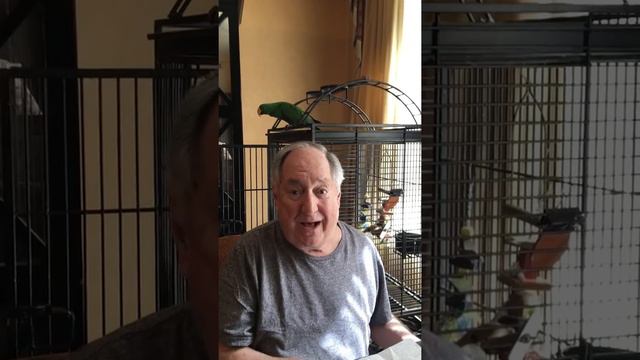 Neil Sedaka - A Medley To Brighten Up Your Day смотреть онлайн