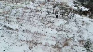 МКД31-Дроны.mp4