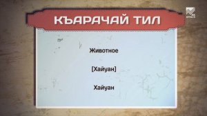 Разговорник (карачаевский язык) (03.11.2022)