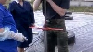 Взятие с силосной ямы, корма на анализ.