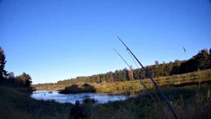 Река Молога Сентябрь 2023 Часть 1