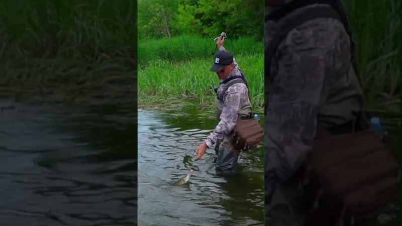 Голавли на Jackall Micro Tappy. #fishing #norstream