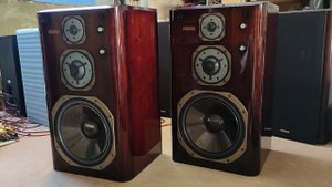 NS-2000