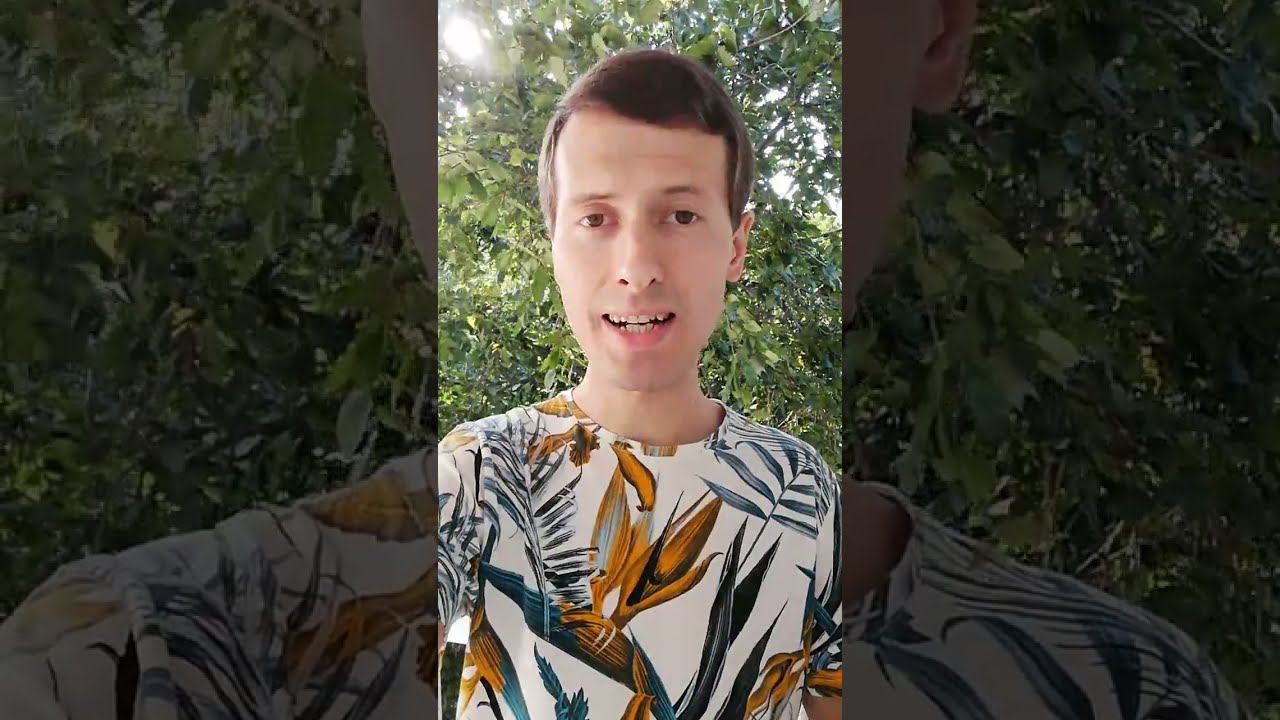 Развернутое предложение эко зож бизнесменам от топового эко зож блогера и смм-щика, лидера партнерок