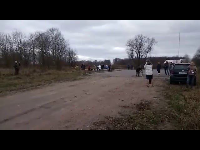 ПРК 17.11.2018 Найгур, Пахан, Арекс