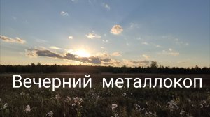 Вечерний металлокоп