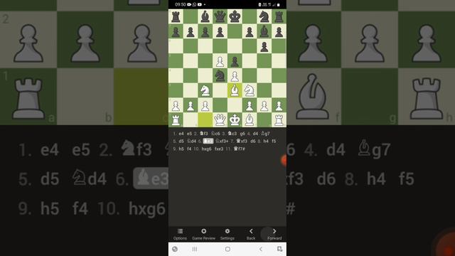 How to checkmate in 11 moves with Steinitz Defence |