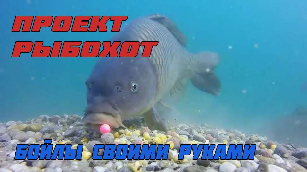Самодельные Бойлы на Карпа и Волосяная оснастка