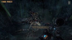 Достижения Metro: Last Light Complete Edition - Черепаха