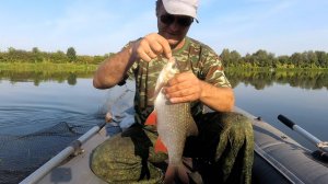 Рыбалка на Оке. Кто там на горох, так гнёт удочку.