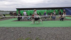 Гельмут Кайзер Вильгельм