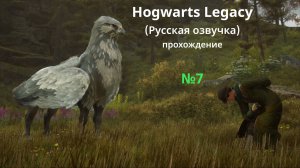 Hogwarts Legacy (Русская озвучка) - GamePlay (4k 60fps) - Прохождение игры - Без комментариев - №7