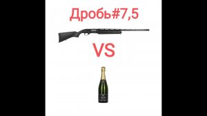 МР155 vs Бутылка шампанского! Дробь #7,5 спортивный патрон 28 гр. Дистанция 35 метров. Чок Прогресс.