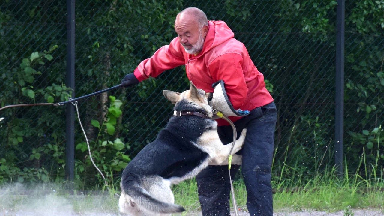 НАЙГУР ВЕЛЬКОНТА