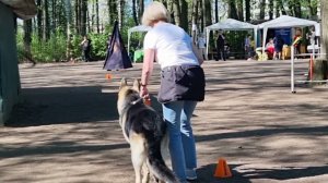 Велибор (Барвиттера)