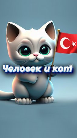 🐈Человек и кот нашли друг друга🇹🇷 #мирадио