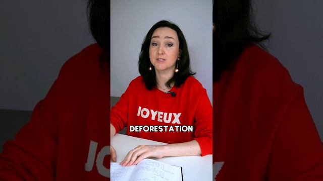 Сможешь перевести слова из программы 11 класса?