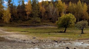 Алтай осень 2024