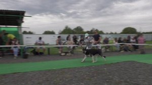 Моншер Вирсаль Парад