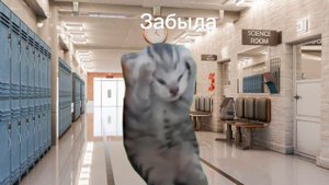 Как я хожу в школу история с мемными котами (2 часть).