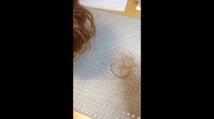 Scalp for Blythe from Aliexpress - Скальп для Блайз с Алиэкспресс -