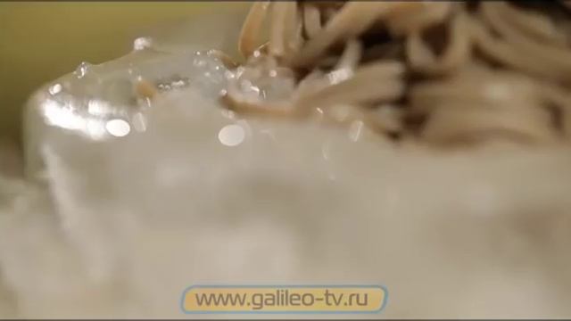 Галилео. Лапша