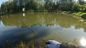 УНИКАЛЬНЫЙ ТРОФЕЙ! ЗОЛОТОЙ КАРАСЬ на ПОРОЛОН#мормышинг #стритфишинг