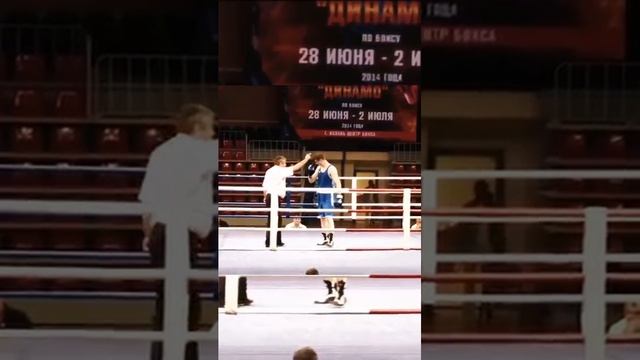 Нокаут от Бивола в любителях| Dmitry Bivol KO in amateur boxing