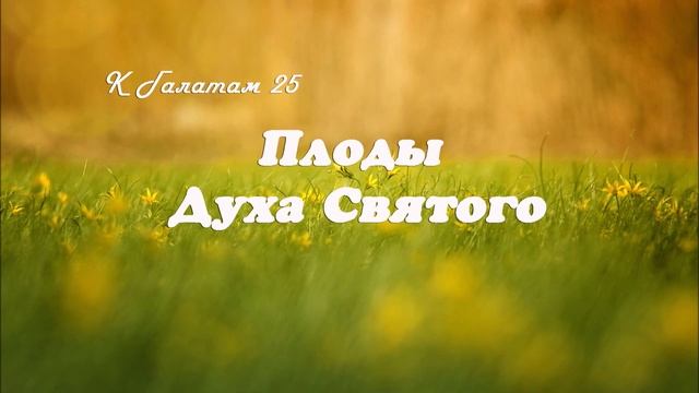 25. ПЛОДЫ ДУХА СВЯТОГО_к Галатам, пастор Ли Ги Тэк_ церковь "Сонрак", Миссионерский центр "Сонрак"