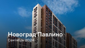 «Новоград Павлино» / Сентябрь 2024