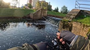 БОЙ С КРАКЕНОМ! Огромный КАРАСЬ на МОРМЫШИНГ. #мормышинг #nanojig #рыбалка #стритфишинг #карась