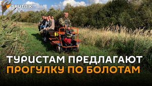 По узкоколейке к древним болотам – необычный маршрут открылся в Беларуси