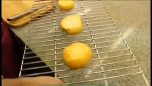 Галилео. Пареная репа