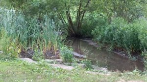 Kristina Motivator. Запах Мужчины. Побег Хани. Одиночество Бандероли. Olga Patson. Бомжи В США.