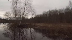Тихий вечер на реке Андога. Вологодская обл