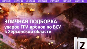 Жесткие прилеты FPV-«птичек» по укронацистам в Херсонской области – подборка с фронта