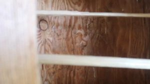 Колодное пчеловодство. обустройство колоды.