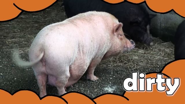 Big, Big, Big Adjectives Song for Kids смотреть онлайн