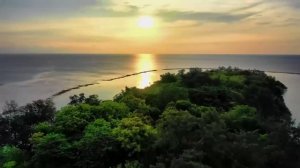 Hawaiian Reggae 2024 - Always Remember Us