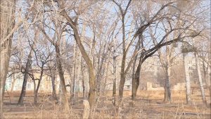 Гарнизон Красный Кут