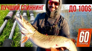 ЛУЧШИЙ СПИННИНГ ДО 100 БАКСОВ? ТОП-4 универсальных удилищ - что выбрать?