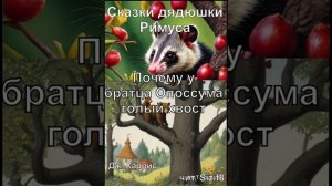 15. Почему у братца Опоссума голый хвост