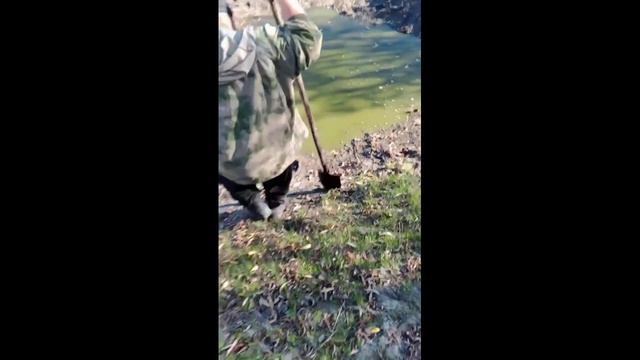 Неожиданный результата))))