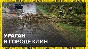 В подмосковном городе Клин прошел сильнейший ураган - Москва 24
