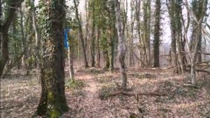 ПРОГУЛКИ В ГЕЛЕНДЖИКЕ 44