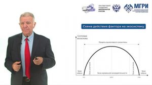 Мегаэкология