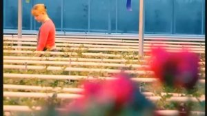 Галилео. Розы  Roses