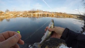 Окунь на мормышку. Открытие зимнего сезона 20-21. Первая рыбалка с Crazy Fish Nano Zero Carbon