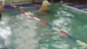 Соревнования по плаванию в детском саду /ура 1-е место и первая золотая медаль /ура побед