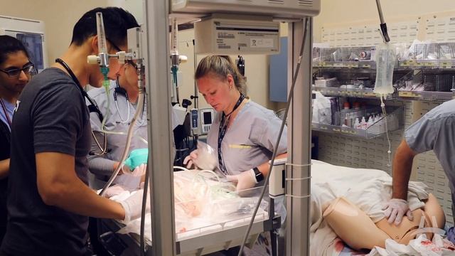 Emergency Birth Simulation - Hamilton General Emergency Department смотреть онлайн